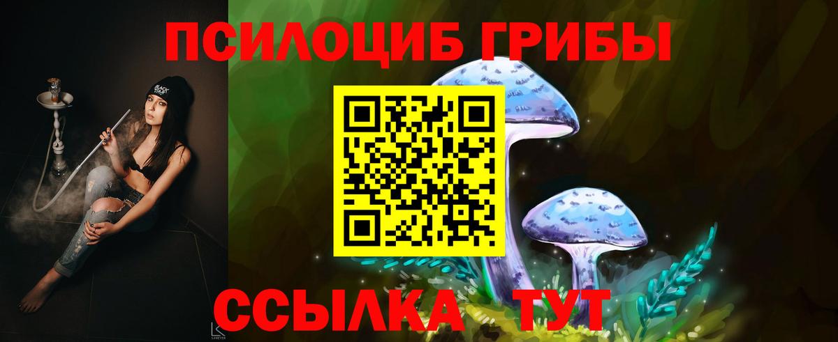 Псилоцибиновые грибы GOLDEN TEACHER  Вход с VPN  Кстово 